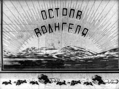 Остров Врангеля