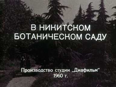 В Никитском ботаническом саду