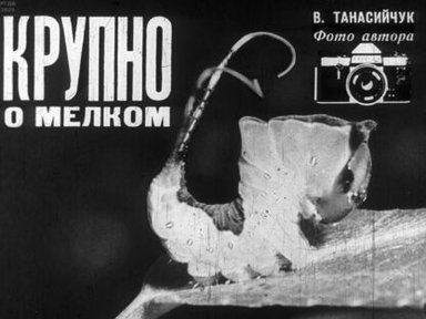 Обложка диафильма «Крупно о мелком»