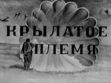 Обложка диафильма «Крылатое племя»