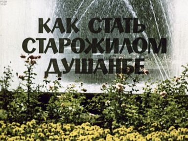 Как стать старожилом Душанбе