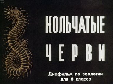 Обложка диафильма «Кольчатые черви»