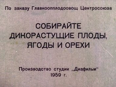 Обложка диафильма «Собирайте дикорастущие плоды, ягоды и орехи»