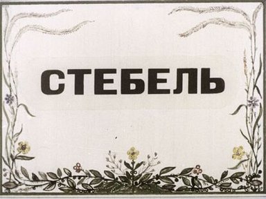 Обложка диафильма «Стебель»