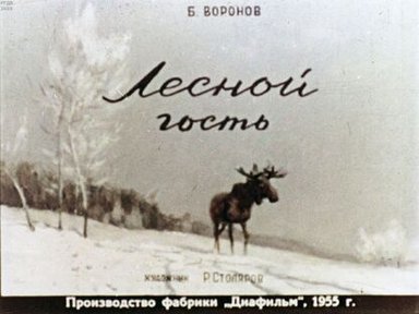 Обложка диафильма «Лесной гость»