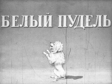 Обложка диафильма «Белый пудель»