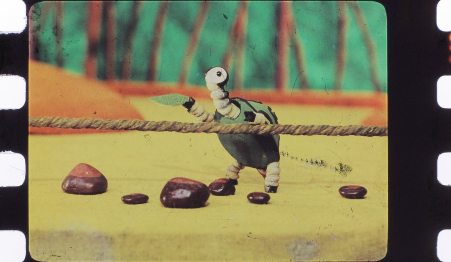 Черепаха пробы цв 2