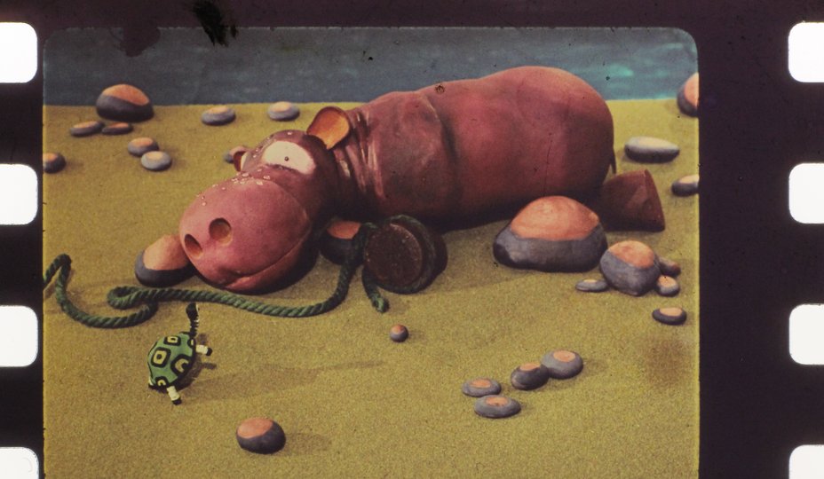 Черепаха пробы цв 4