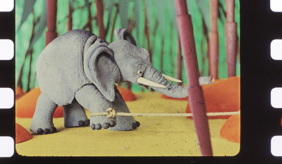 Черепаха пробы цв 5