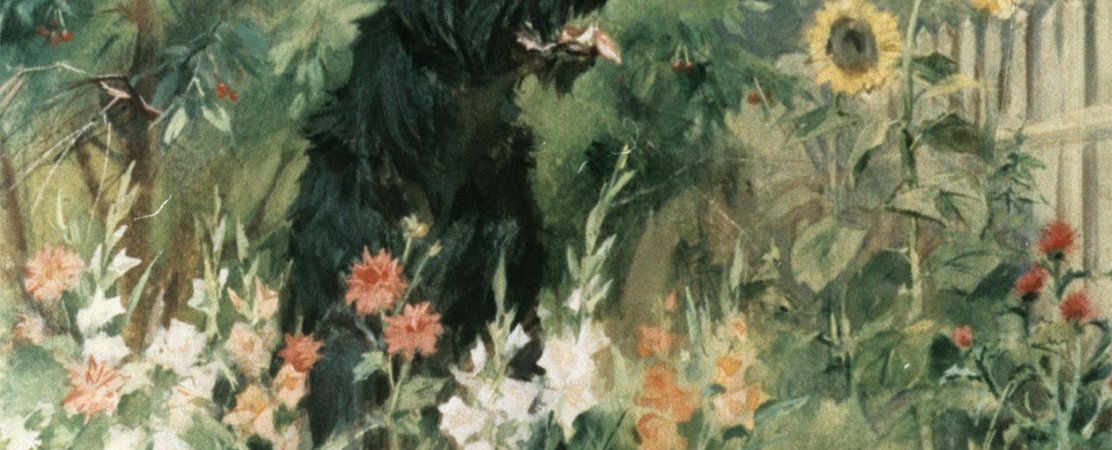 Диафильмы о дачных приключениях