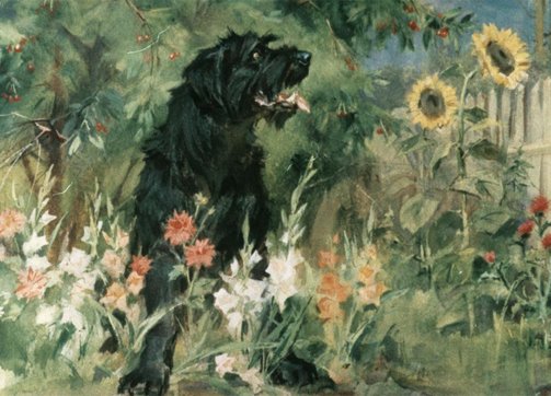 Диафильмы о дачных приключениях